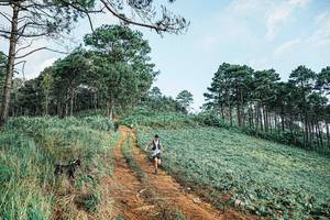 BIB: 
                            <button type="button" onclick="openModal(25654206)" class="btn btn-primary btn-sm float-right btn-popup" data-toggle="modal" data-target=".modal-high-quality">
                        <i class="fas fa-shopping-cart"></i> Add to Cart
                    </button>
                                            <button type="button" onclick="isThisMe(25654206, true)" class="btn btn-success btn-sm float-right btn-popup btn-isme hidden" data-toggle="tooltip" data-placement="bottom" title="นี่คือรูปของคุณใช่ไหม คลิกที่นี่เพื่อเอาเข้าอัลบั้ม">
                        <i class="fas fa-plus"></i> Add to album
                    </button>
                    <button type="button" onclick="isThisMe(25654206, false)" class="btn btn-warning btn-sm float-right btn-popup btn-isnotme hidden">
                        <i class="fas fa-ban"></i> Remove from album
                    </button>